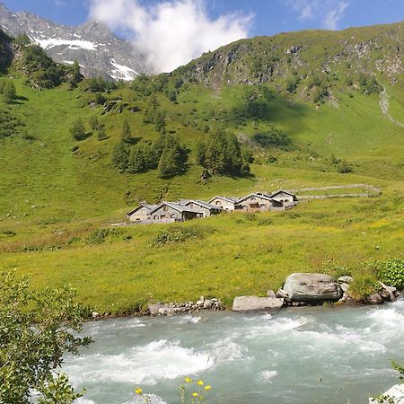 Gaestehaus Zedlacherhof Матрей ин Остирол Екстериор снимка